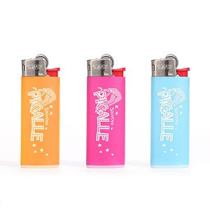 3 Mini Bic Lighters Souvenir